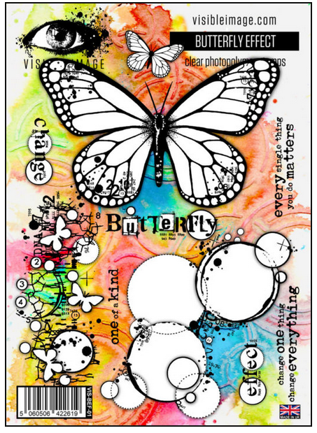 Visible Image - Butterfly Effect