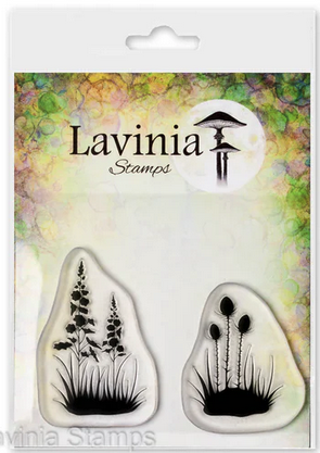 Lavinia - Foliage